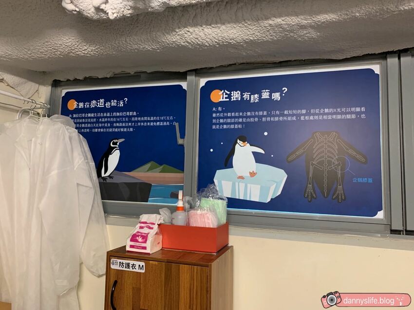 海生館餵企鵝 │屏東景點。我與企鵝的0.1毫米，被咬到了 - 丹尼的吃喝玩樂
