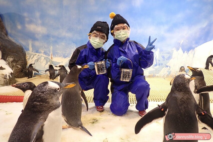 海生館餵企鵝 │屏東景點。我與企鵝的0.1毫米，被咬到了 - 丹尼的吃喝玩樂