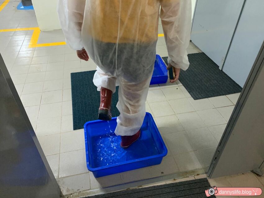 海生館餵企鵝 │屏東景點。我與企鵝的0.1毫米，被咬到了 - 丹尼的吃喝玩樂