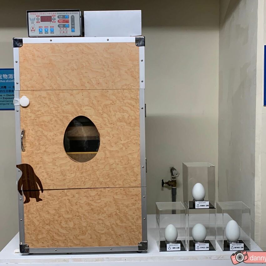 海生館餵企鵝 │屏東景點。我與企鵝的0.1毫米，被咬到了 - 丹尼的吃喝玩樂