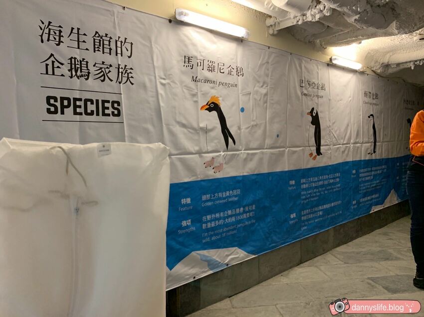 海生館餵企鵝 │屏東景點。我與企鵝的0.1毫米，被咬到了 - 丹尼的吃喝玩樂