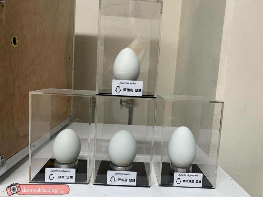 海生館餵企鵝 │屏東景點。我與企鵝的0.1毫米，被咬到了 - 丹尼的吃喝玩樂