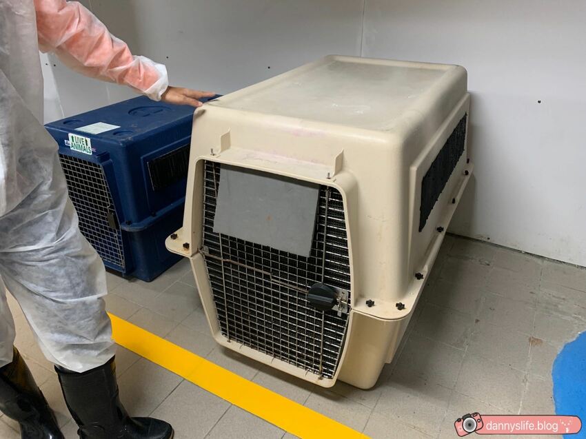 海生館餵企鵝 │屏東景點。我與企鵝的0.1毫米，被咬到了 - 丹尼的吃喝玩樂