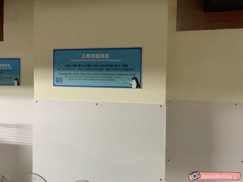 海生館餵企鵝 │屏東景點。我與企鵝的0.1毫米，被咬到了 - 丹尼的吃喝玩樂