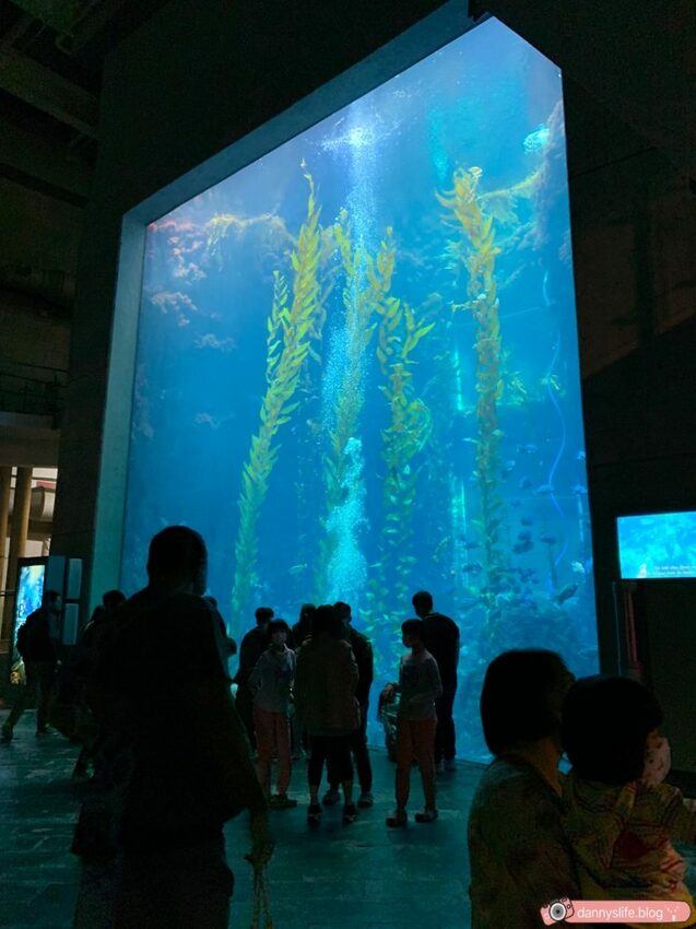海生館餵企鵝 │屏東景點。我與企鵝的0.1毫米，被咬到了 - 丹尼的吃喝玩樂