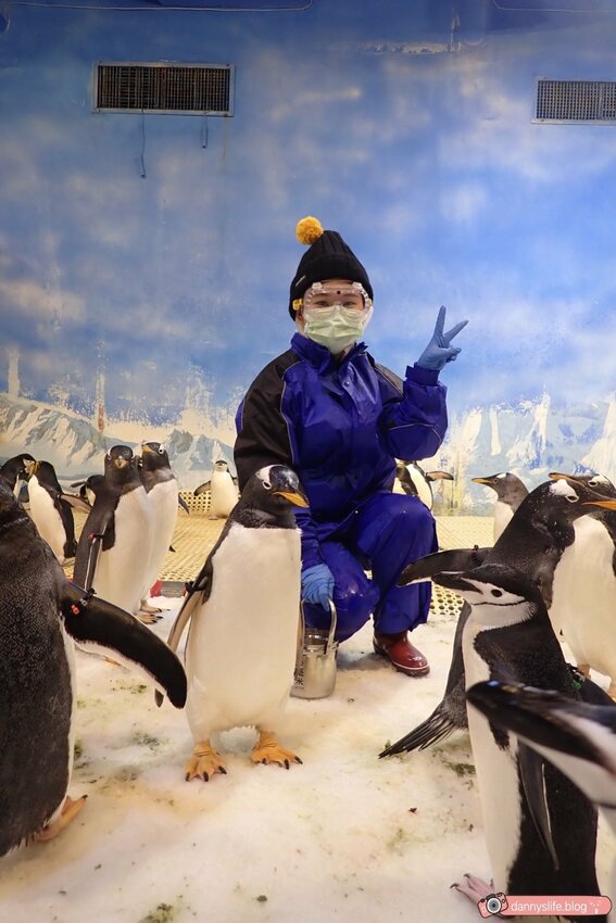 海生館餵企鵝 │屏東景點。我與企鵝的0.1毫米，被咬到了 - 丹尼的吃喝玩樂