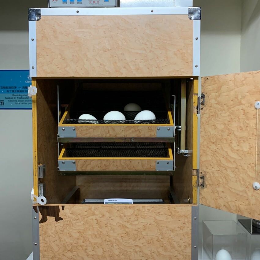 海生館餵企鵝 │屏東景點。我與企鵝的0.1毫米，被咬到了 - 丹尼的吃喝玩樂