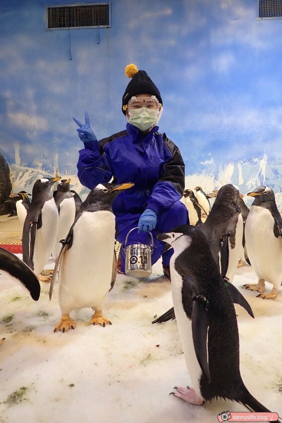 海生館餵企鵝 │屏東景點。我與企鵝的0.1毫米，被咬到了 - 丹尼的吃喝玩樂