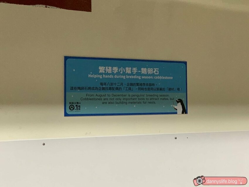 海生館餵企鵝 │屏東景點。我與企鵝的0.1毫米，被咬到了 - 丹尼的吃喝玩樂