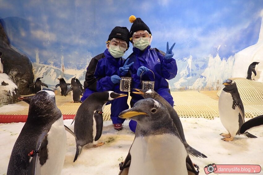 海生館餵企鵝 │屏東景點。我與企鵝的0.1毫米，被咬到了 - 丹尼的吃喝玩樂