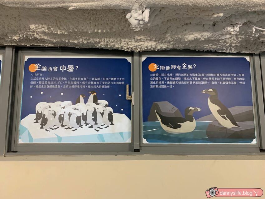 海生館餵企鵝 │屏東景點。我與企鵝的0.1毫米，被咬到了 - 丹尼的吃喝玩樂