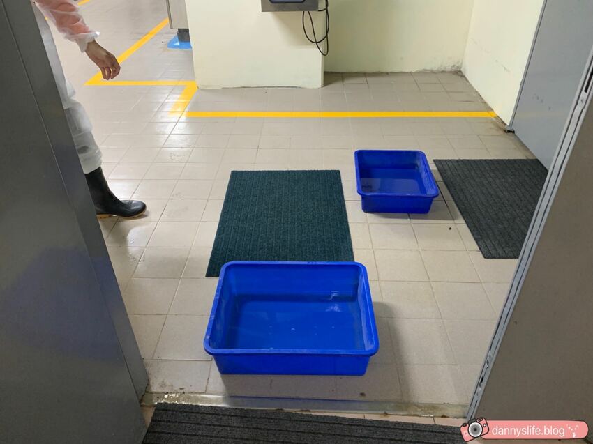 海生館餵企鵝 │屏東景點。我與企鵝的0.1毫米，被咬到了 - 丹尼的吃喝玩樂