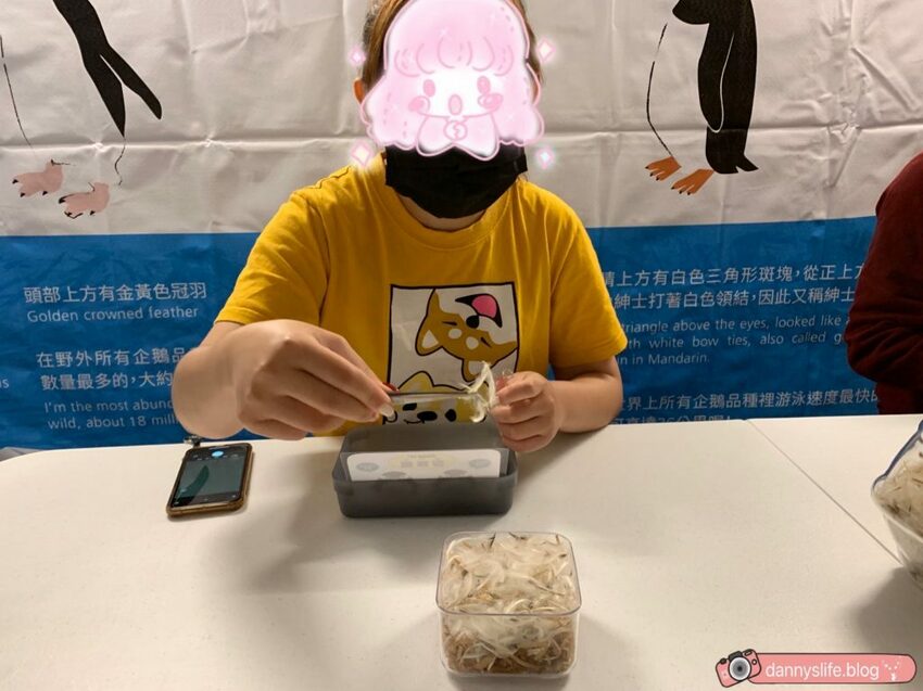 海生館餵企鵝 │屏東景點。我與企鵝的0.1毫米，被咬到了 - 丹尼的吃喝玩樂