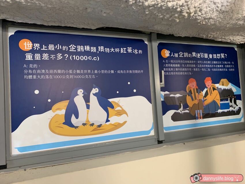 海生館餵企鵝 │屏東景點。我與企鵝的0.1毫米，被咬到了 - 丹尼的吃喝玩樂