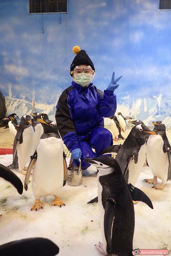 海生館餵企鵝 │屏東景點。我與企鵝的0.1毫米，被咬到了 - 丹尼的吃喝玩樂