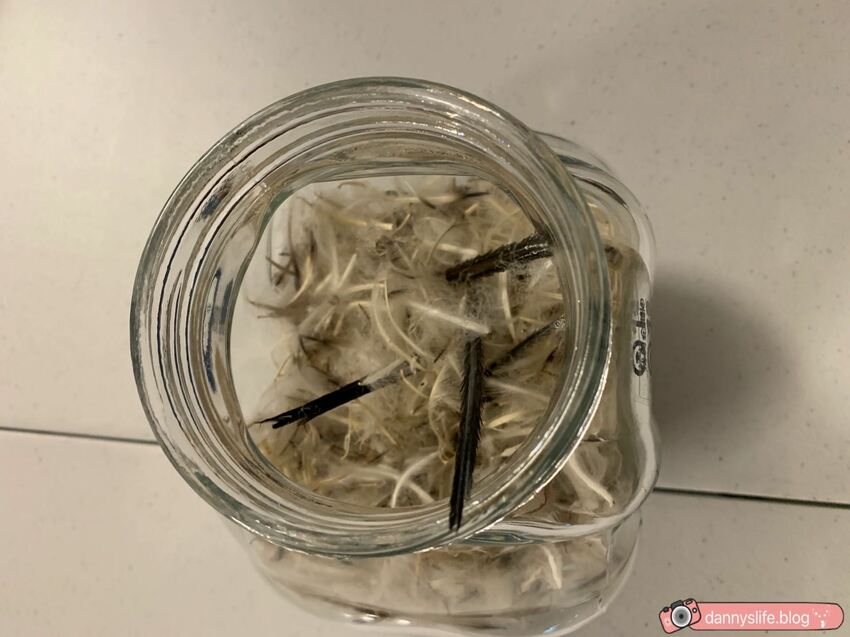 海生館餵企鵝 │屏東景點。我與企鵝的0.1毫米，被咬到了 - 丹尼的吃喝玩樂