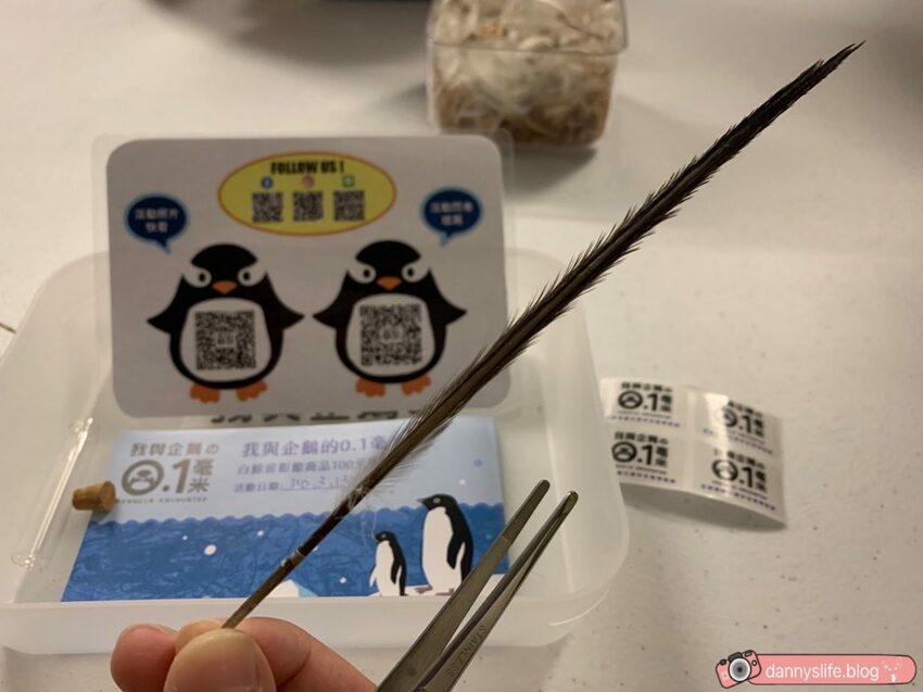 海生館餵企鵝 │屏東景點。我與企鵝的0.1毫米，被咬到了 - 丹尼的吃喝玩樂