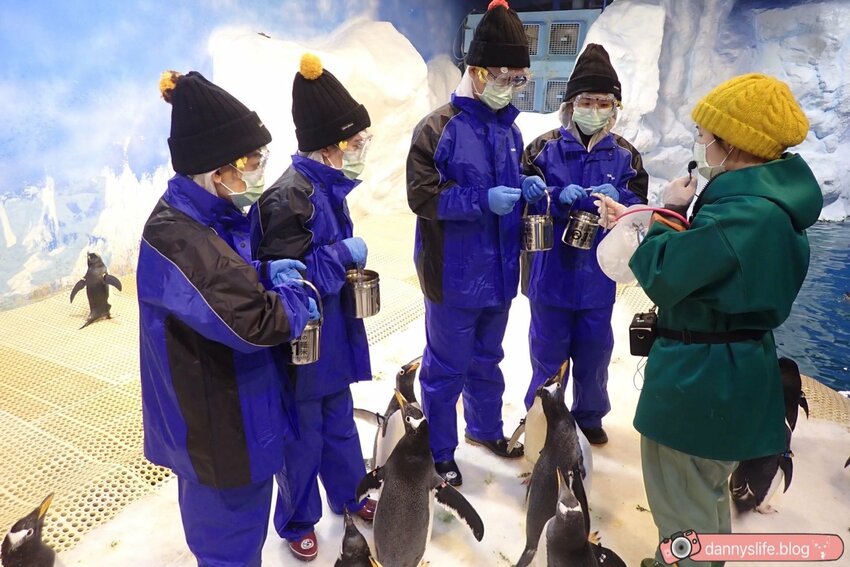 海生館餵企鵝 │屏東景點。我與企鵝的0.1毫米，被咬到了 - 丹尼的吃喝玩樂