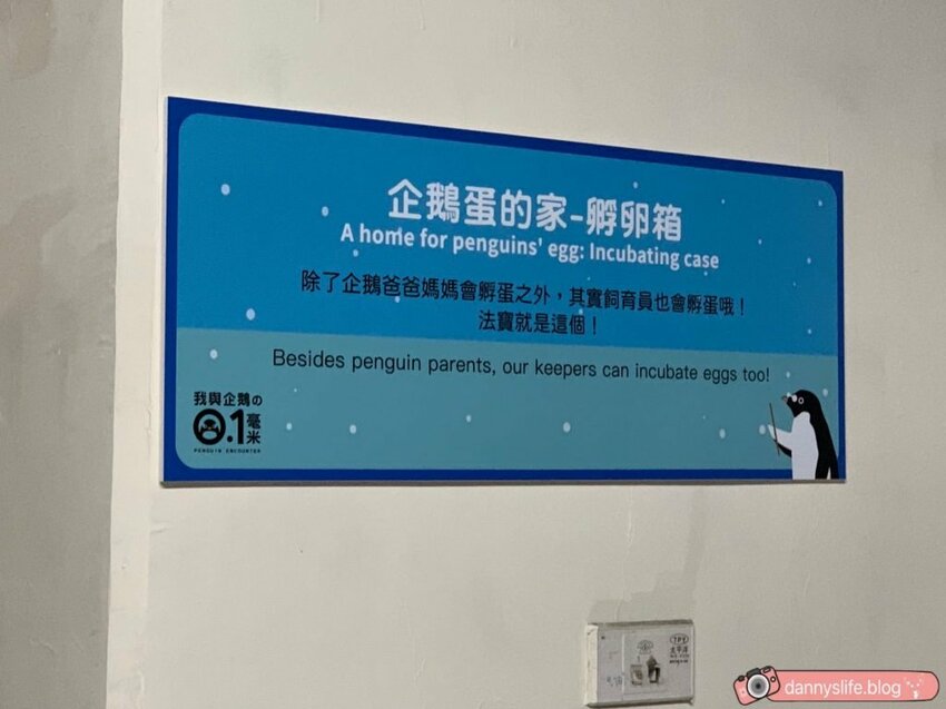 海生館餵企鵝 │屏東景點。我與企鵝的0.1毫米，被咬到了 - 丹尼的吃喝玩樂