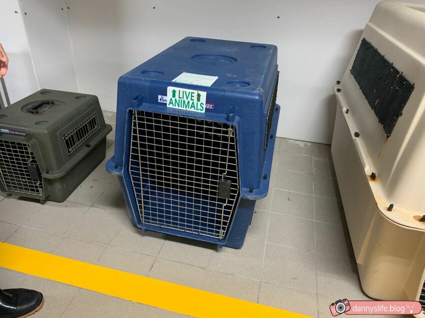 海生館餵企鵝 │屏東景點。我與企鵝的0.1毫米，被咬到了 - 丹尼的吃喝玩樂