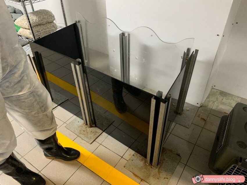 海生館餵企鵝 │屏東景點。我與企鵝的0.1毫米，被咬到了 - 丹尼的吃喝玩樂