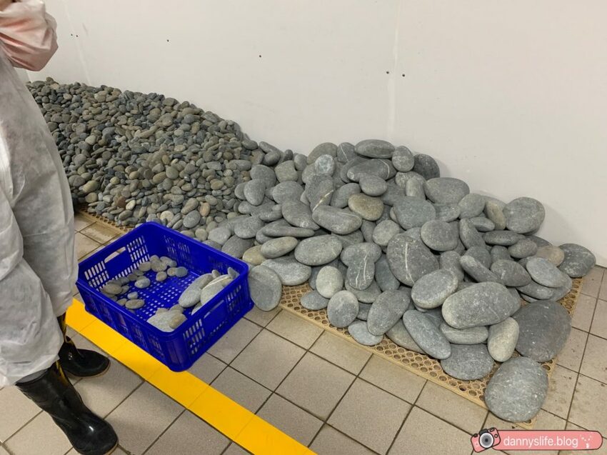 海生館餵企鵝 │屏東景點。我與企鵝的0.1毫米，被咬到了 - 丹尼的吃喝玩樂