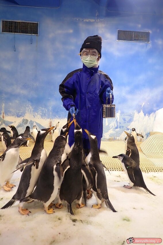 海生館餵企鵝 │屏東景點。我與企鵝的0.1毫米，被咬到了 - 丹尼的吃喝玩樂