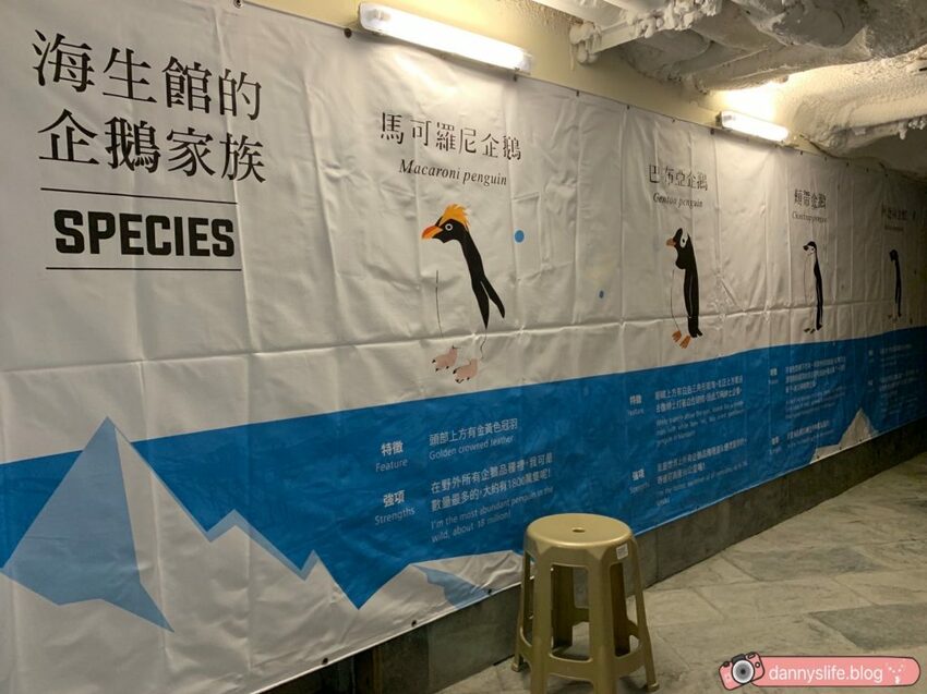 海生館餵企鵝 │屏東景點。我與企鵝的0.1毫米，被咬到了 - 丹尼的吃喝玩樂