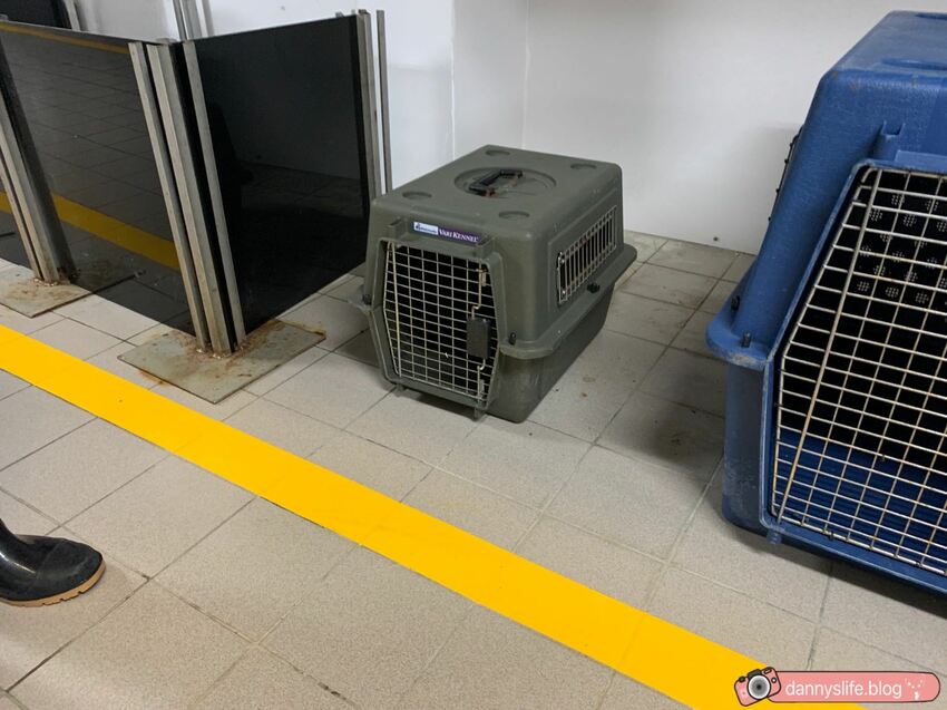 海生館餵企鵝 │屏東景點。我與企鵝的0.1毫米，被咬到了 - 丹尼的吃喝玩樂