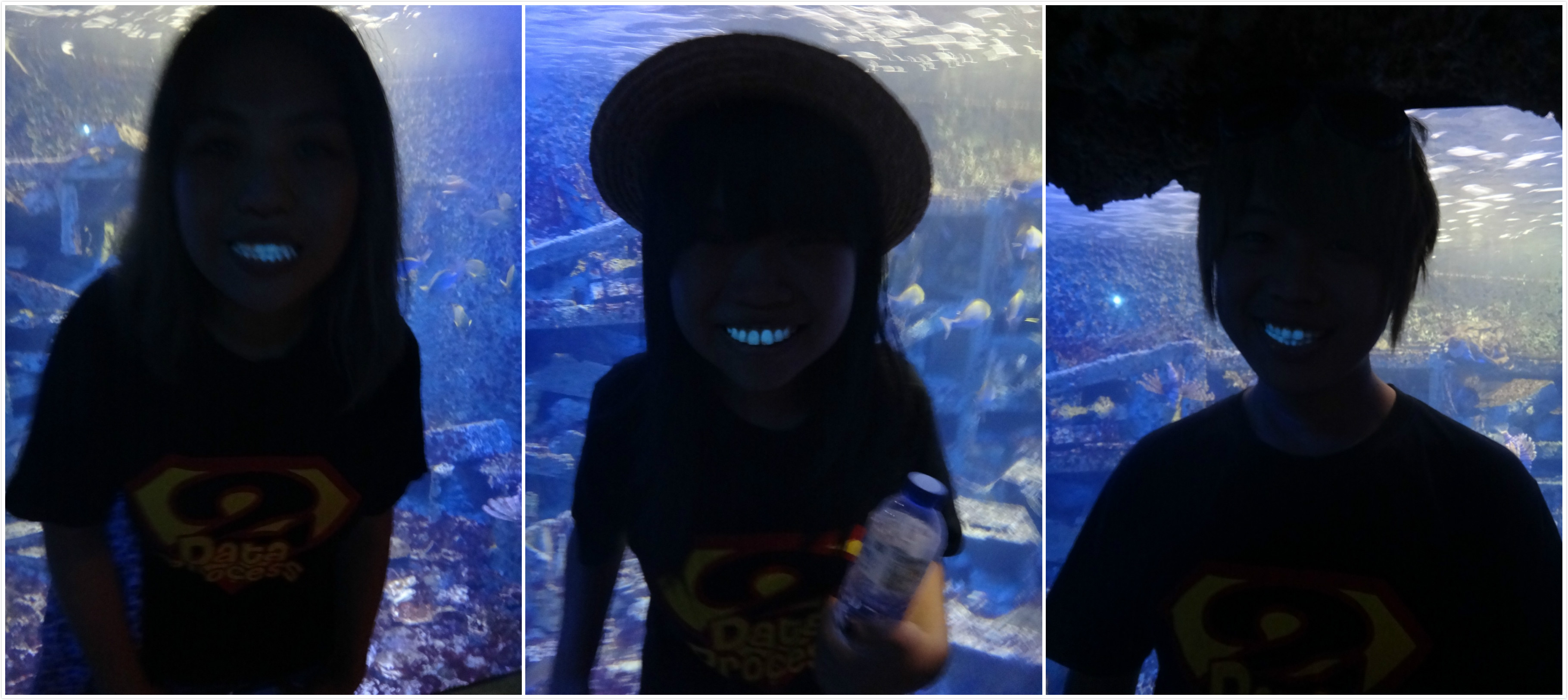 【屏東】墾丁海洋生物博物館 來墾丁就是要來海洋博物館 不然要幹嘛