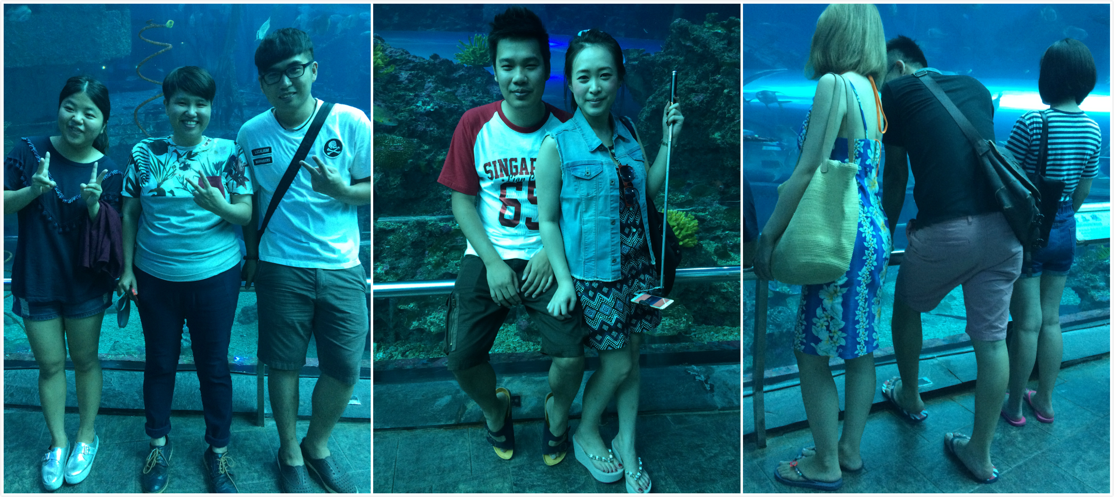 【屏東】墾丁海洋生物博物館 來墾丁就是要來海洋博物館 不然要幹嘛