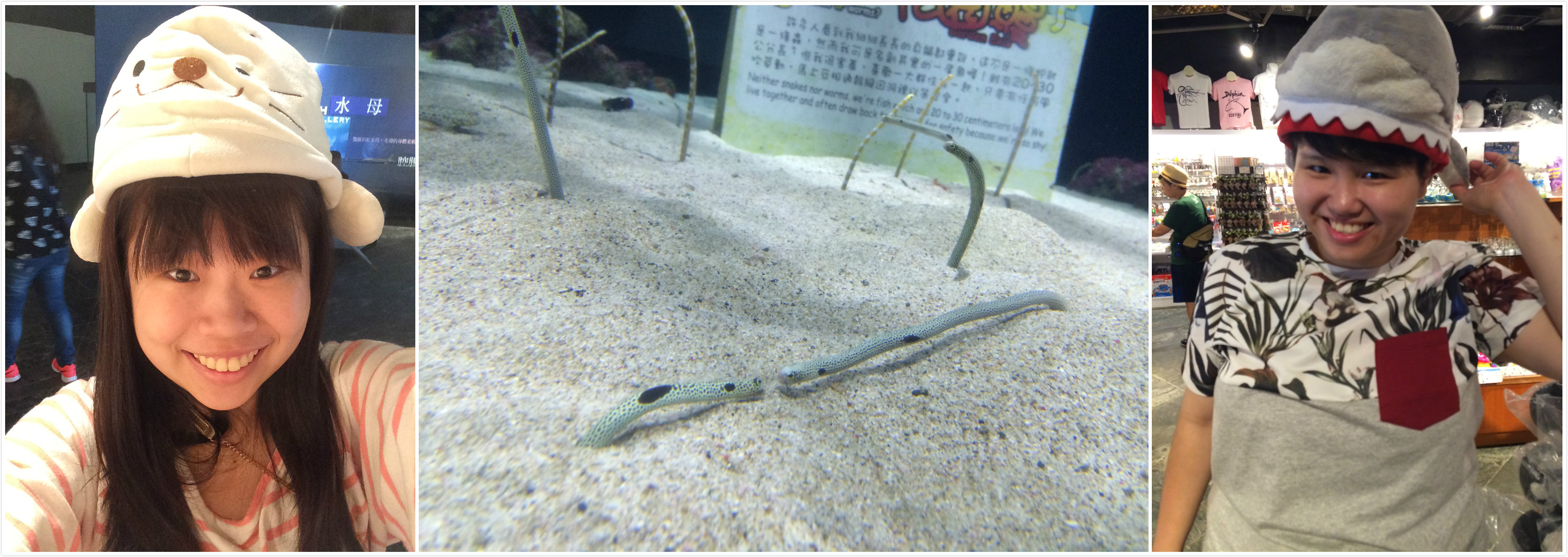 【屏東】墾丁海洋生物博物館 來墾丁就是要來海洋博物館 不然要幹嘛