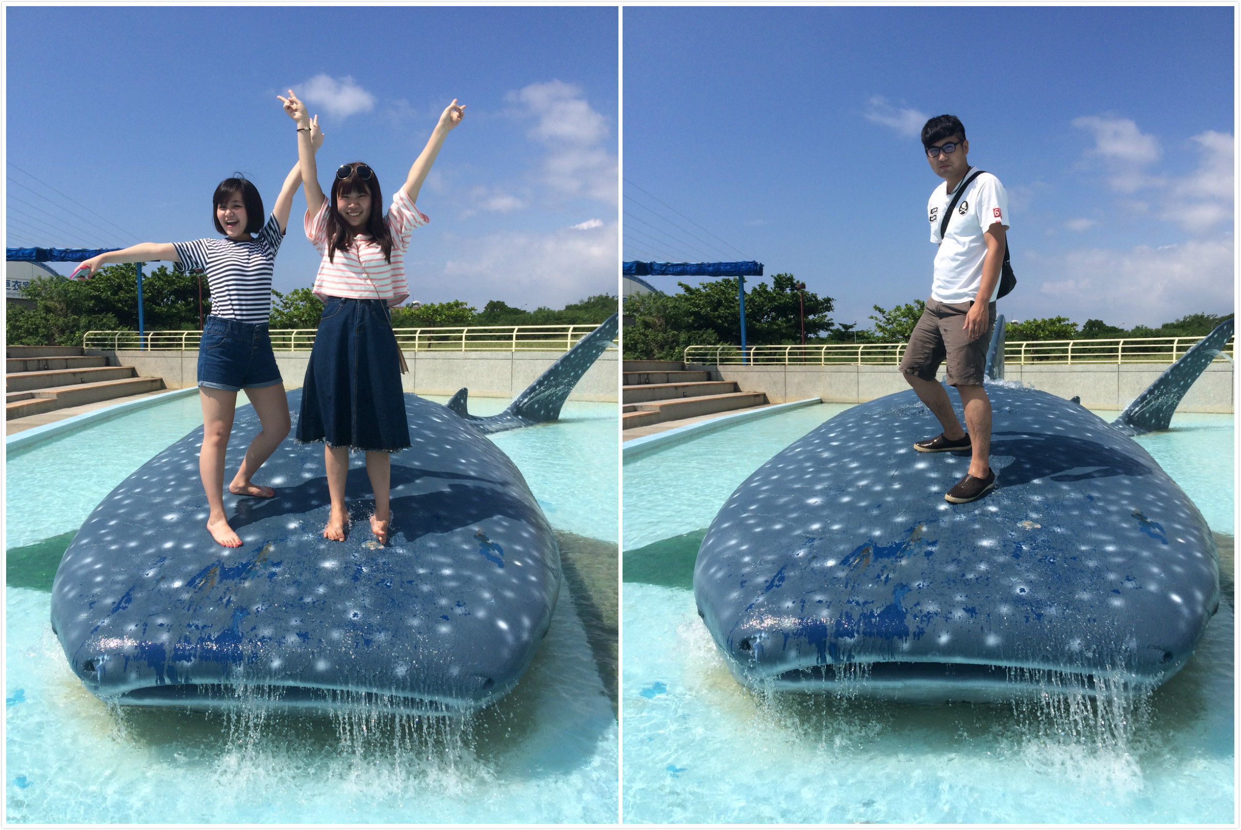 【屏東】墾丁海洋生物博物館 來墾丁就是要來海洋博物館 不然要幹嘛