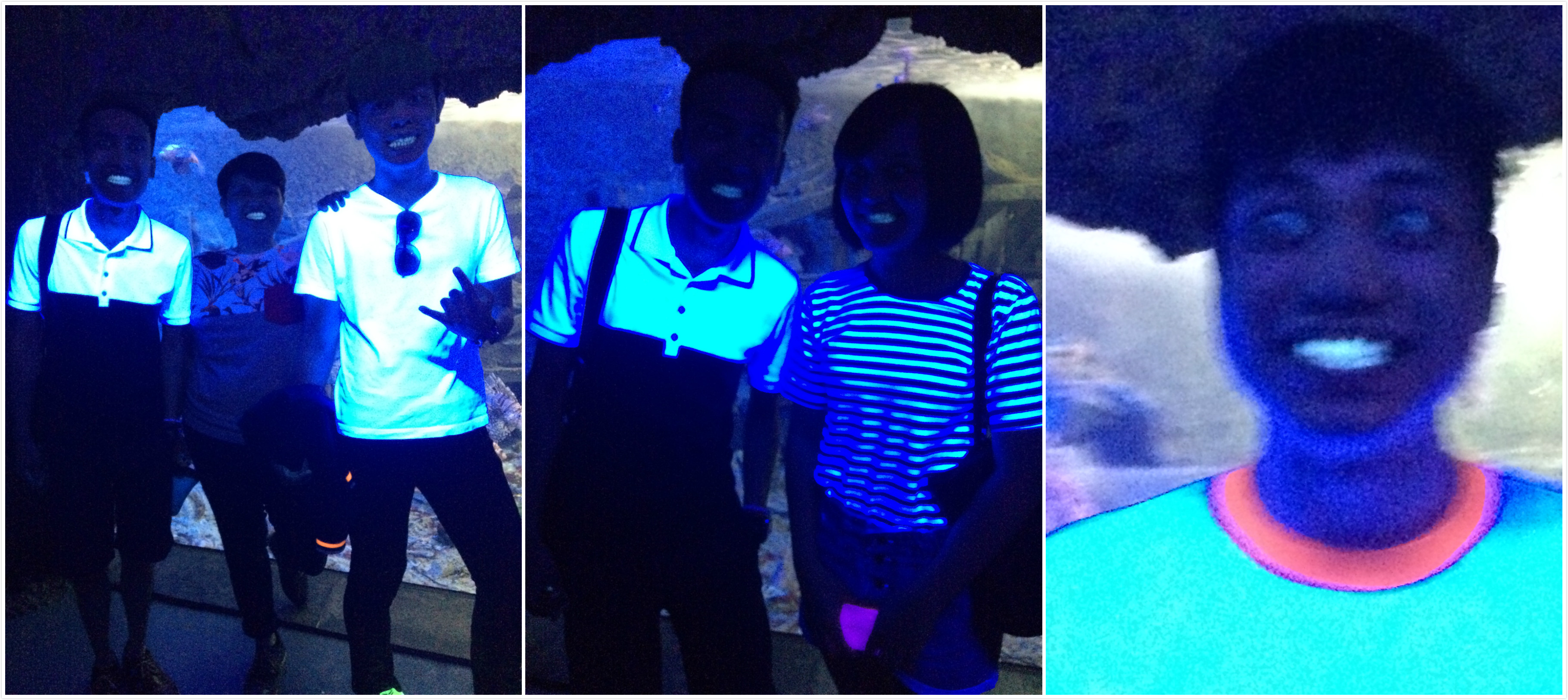 【屏東】墾丁海洋生物博物館 來墾丁就是要來海洋博物館 不然要幹嘛