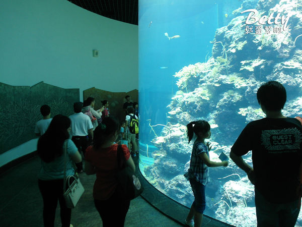 20170819國立海洋生物博物館 (17).jpg