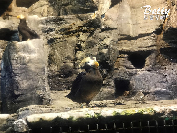 20170819國立海洋生物博物館 (8).jpg