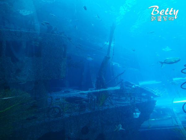 20170819國立海洋生物博物館 (23).jpg