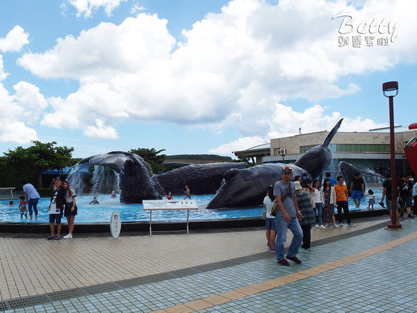 20170819國立海洋生物博物館 (12).jpg