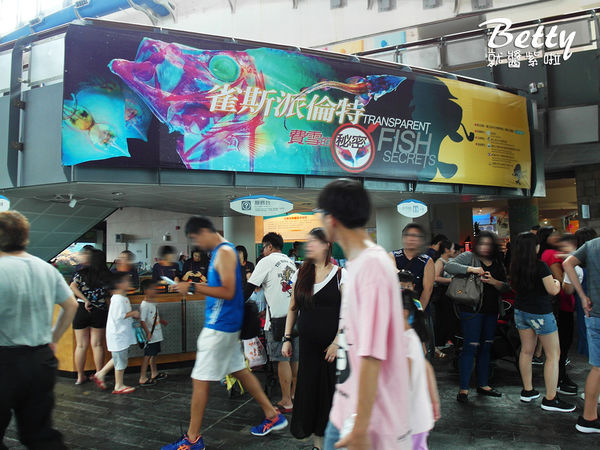 20170819國立海洋生物博物館 (14).jpg