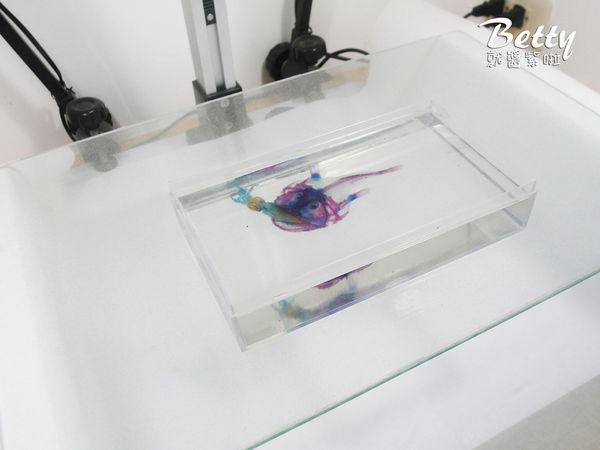 20170819國立海洋生物博物館 (3).jpg