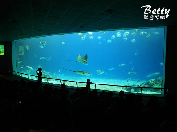 20170819國立海洋生物博物館 (30).jpg