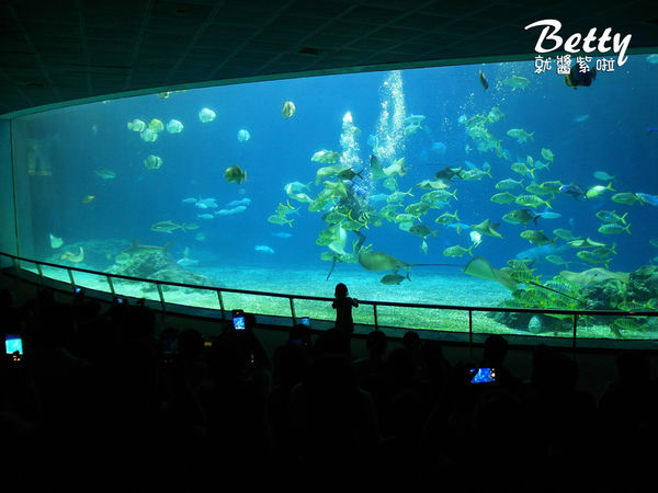 20170819國立海洋生物博物館 (32).jpg