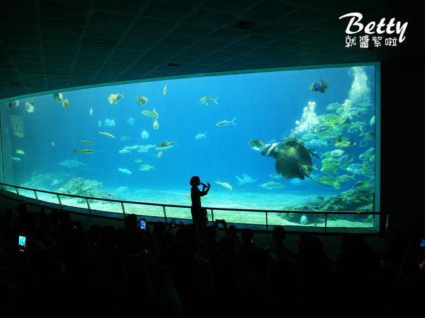 20170819國立海洋生物博物館 (31).jpg