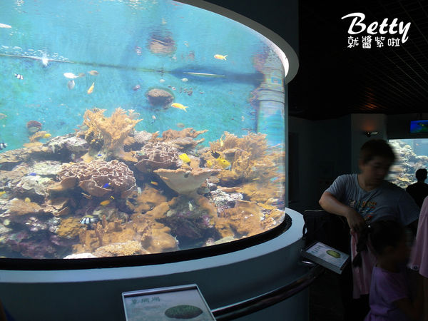 20170819國立海洋生物博物館 (15).jpg