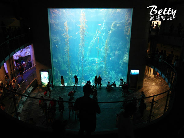 20170819國立海洋生物博物館 (40).jpg