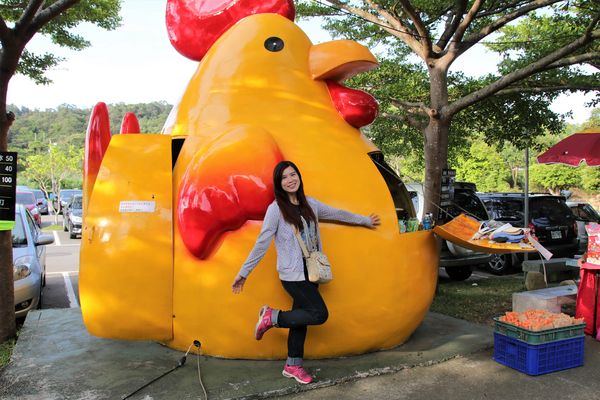 台灣山豬城(珍珠嶺關係農場):【新北市林口景點】台灣山豬城~團圓合菜料理,環境充滿古色古香,小型動物園區