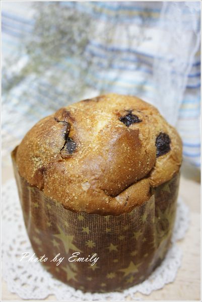 _DSC1732.JPG _DSC1732.JPG