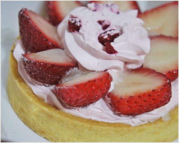 _DSC1664.JPG _DSC1664.JPG