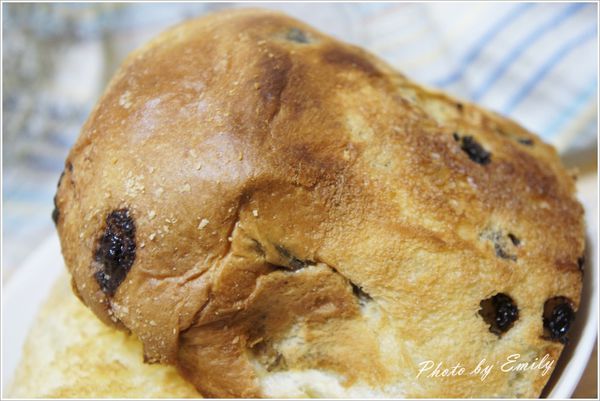 _DSC1737.JPG _DSC1737.JPG