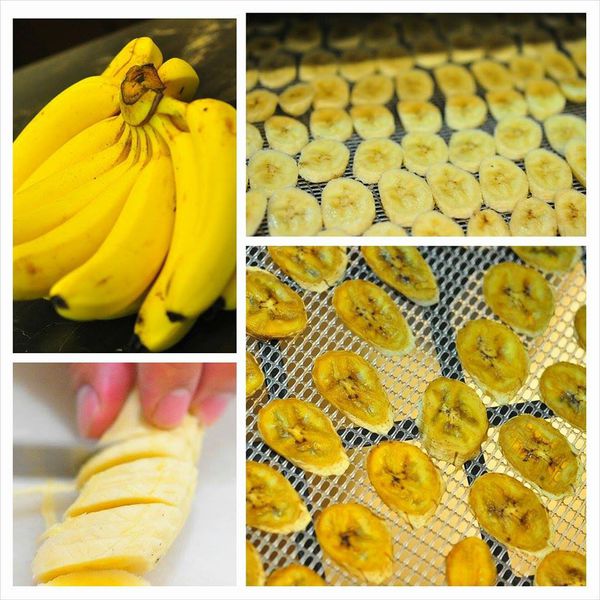 1420048_937054019644691_183303861_n 1420048_937054019644691_183303861_n